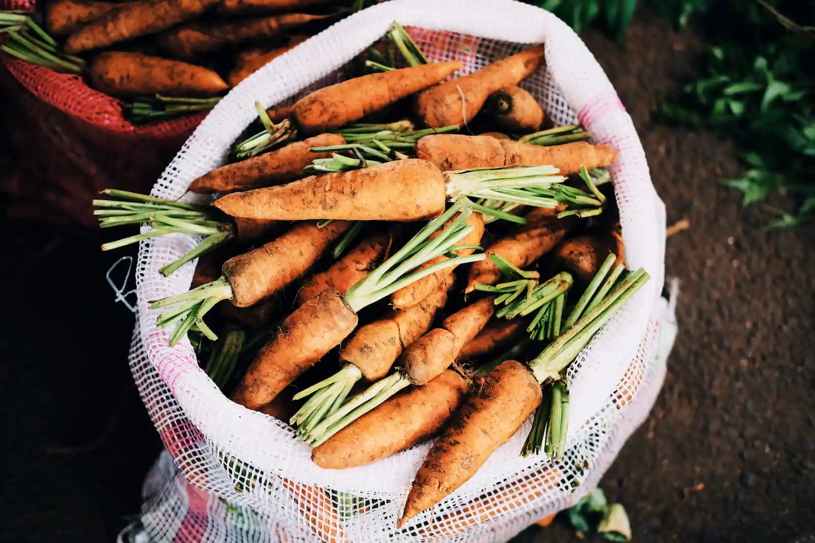 a bag of carrots freshly harvested from a community garden